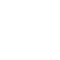Professional icon